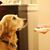 Kelly McChesney's profile image