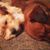 Jessica Lee Ann Stewart's profile image
