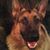 Tammy Downing's profile image