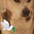 Jasmine Owens Free's profile image