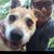 Ashley Maria Raun Thomas's profile image