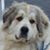 Jeannie Mucha's profile image