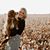 Caitlin Wickstrom's profile image