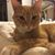 Sabrina Waldron's profile image