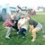 Luke Eilers's profile image