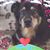 Linda Stokes Morganstern's profile image