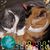 Donna Wallace's profile image