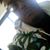 Tony Gah Lee's profile image