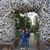 Marilyn Orthman's profile image