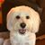 Bob Dorris's profile image