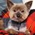 Donna J. Uthe's profile image