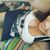 Haley Lush's profile image