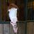 Melanie Rowley's profile image