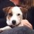 Julie Ahlert's profile image