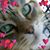 Tina Ringer's profile image
