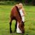Annalissa Grodsky's profile image