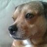 kath y.'s profile image