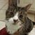 Anne Sanville Berardi's profile image