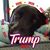 Kimmie Wilburn's profile image