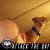 Steve Tillman's profile image