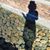 Tracey Friley's profile image