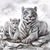 Jose Cruz Alvarez's profile image