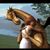 Kimberly Bonney Goddard's profile image