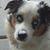 Beverly Cauthen-Girl's profile image