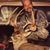 Terry Hendrickson's profile image