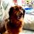 Karen Fairhurst's profile image