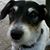 Barbara Arial Staples's profile image