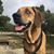 Gina Sheftall's profile image