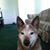 Gary Koski's profile image