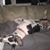 Jacqueline Ehmer-Johnson's profile image