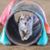 Carolynn Richardson Williams's profile image
