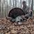 Cody Ledford's profile image