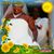 Tammy Wise's profile image