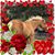 Mary Abell's profile image