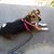 Pamela Loeffler's profile image