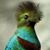 Barbara Lundy's profile image