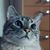 Marianne James's profile image