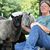Sue Weaver's profile image