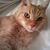 Suzy Clements Golden's profile image