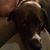 David Swope's profile image