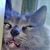 Daniel Cihomsky's profile image