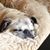 Deborah Conway's profile image