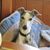 Charleyne Kerchner's profile image