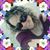 Rosa Carrasquillo's profile image