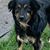 Karrie Carnes-Hill's profile image
