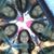 Angela Sancinella Schatz's profile image